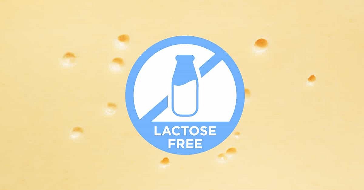 Tilsiter ein Schweizer Käse von Natur aus Laktosefrei