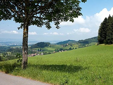 Zürioberland