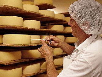 Qualitätskontrolle vom jungen, frisch angeschmierten Käse.