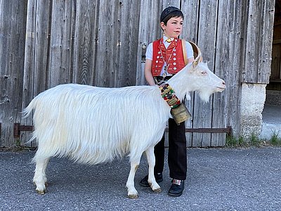 Linus le «petit chevrier»