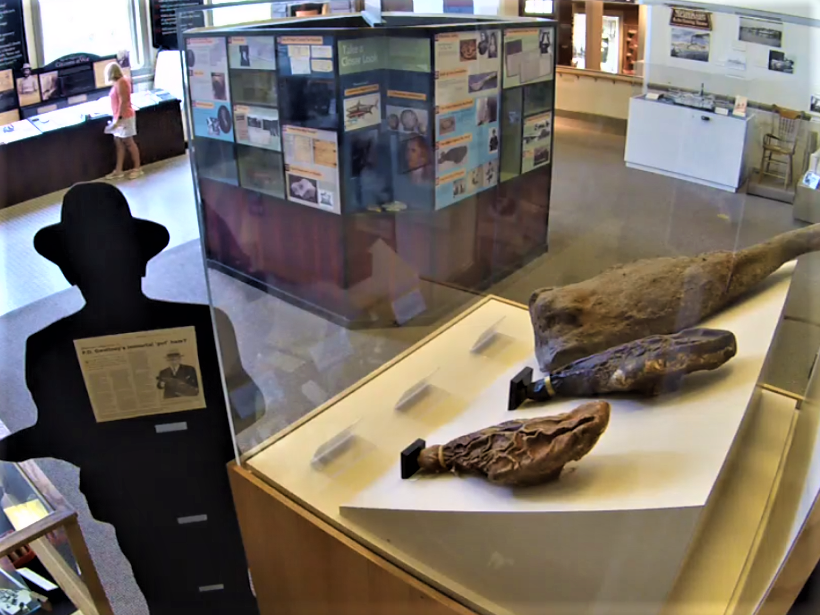 Exposé au musée, filmé par la «ham cam» pour pouvoir être admiré du monde entier: le plus vieux jambon au monde, dans l’Isle of Wight Museum, à Smithfield.